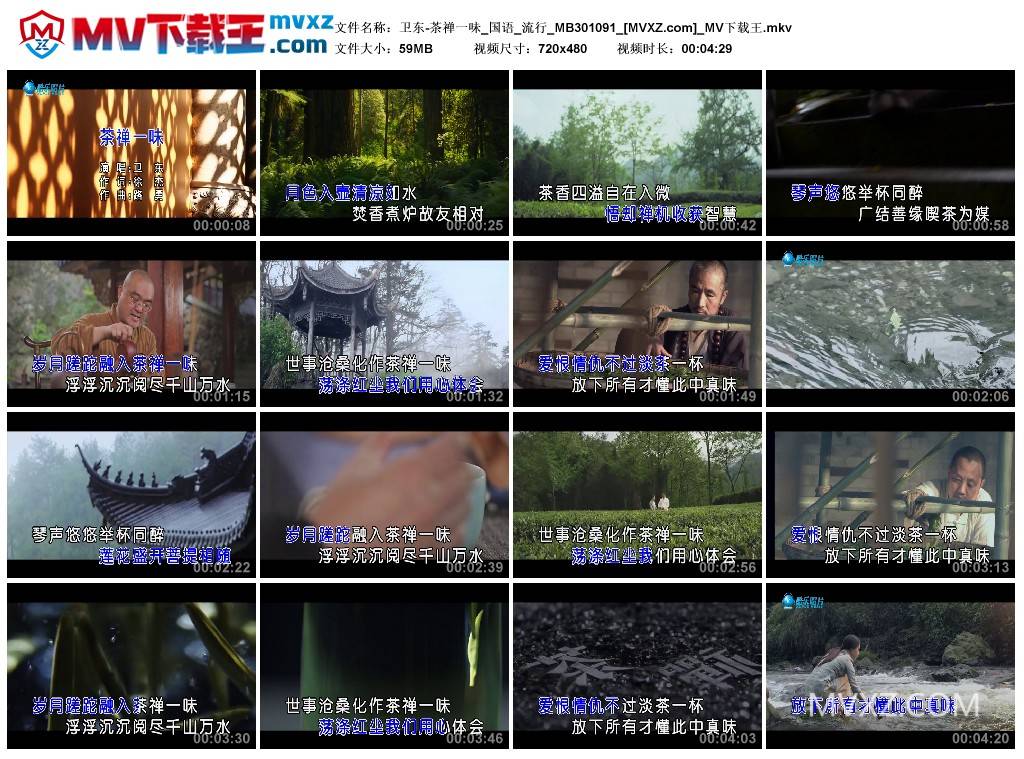 卫东-茶禅一味_国语_流行_MB301091